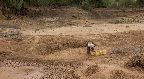 Somalia: Poor Rains Forecast Put Food Security, Livelihoods at Risk, Warns UN Agency Somalia: Poor Rains Forecast Put Food Security, Livelihoods at Risk, Warns UN Agency
